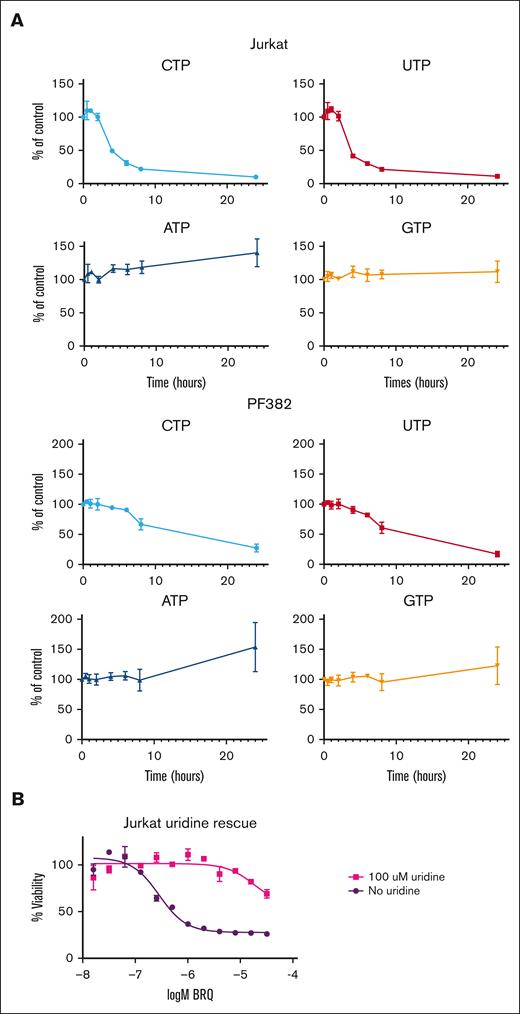 DHODH inhibition is specific to the pyrimidine synthesis pathway and is rescued by supplemental uridine. (A) Graphs showing intracellular nucleotide concentrations in cells treated with 1 μM BRQ over a time course. Concentrations were normalized to those of untreated controls. Shown are the mean ± standard deviation of 3 replicates. (B) Treatment of Jurkat cells with BRQ showed dose-dependent decreases in cell viability, which is rescued by the addition of supplemental uridine, as measured by CellTiter-Glo. Shown are the mean ± standard deviation of 3 replicates. CTP, cytosine triphosphate; GTP, guanosine triphosphate.