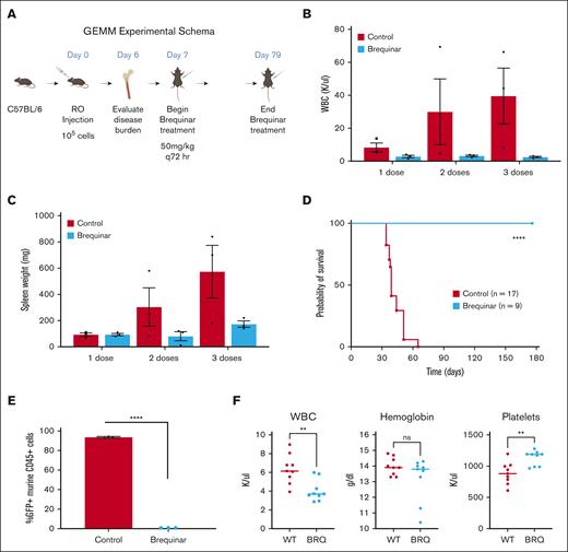 DHODH inhibition is curative in a genetically engineered mouse model of T-ALL. (A) Schema outline of the experiment, with dosing and treatment time points. (B) Peripheral WBC counts measured in mice with T-ALL that either received no treatment (untreated) or treatment with BRQ 50 mg/kg every 3 days (brequinar). Each group included 3 animals. Measurements were recorded after 1, 2, or 3 doses of BRQ, with matched untreated controls. (C) Spleen weights measured untreated or brequinar mice. Each group included 3 animals. Measurements were recorded after 1, 2, or 3 doses of BRQ, with matched untreated controls. (D) Kaplan-Meier survival curve comparing untreated brequinar mice. n = 17 in the untreated group; n = 9 in the brequinar group; P < .0001. (E) Disease burden in the bone marrow as measured by the percentage of GFP+ murine CD45+ cells detected by flow cytometry after 5 doses of BRQ. Each group included 3 animals. (F) WBC counts, hemoglobin, and platelet counts from both wild-type (n = 9) and BRQ-treated mice (n = 9). GEMM, genetically engineered mouse model; RO, retroorbital. Created with BioRender.com.