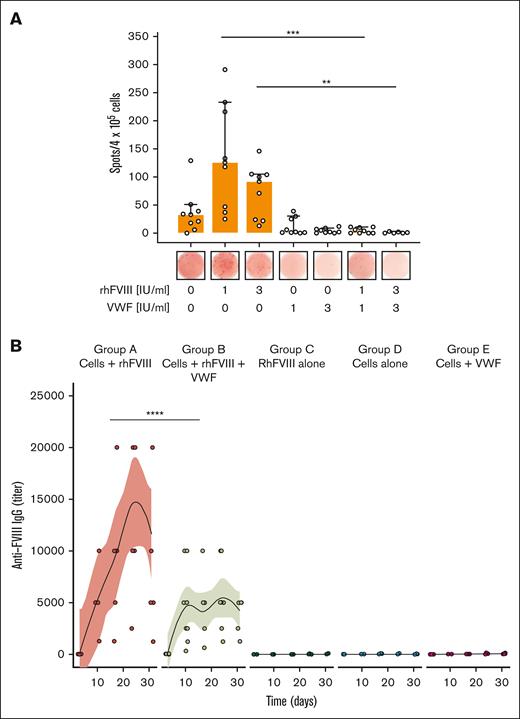 VWF suppresses FVIII-specific recall response in vitro and in vivo. (A) Model of FVIII-specific recall response in vitro. Splenocytes obtained from immunized F8−/− mice were stimulated with rhFVIII in the presence or absence of VWF for 6 days. FVIII-specific ASCs were detected by enzyme-linked immunospot assay. Three independent experiments done in duplicates are shown. Median and 95% confidence intervals as well as individual biological points are shown. One-way ANOVA on ranks (Kruskal-Wallis test) with Dunn multiple comparisons test was performed. (B) FVIII-specific recall response in vivo. Adoptive transfer of primed splenocytes into naïve F8−/− mice, followed by exposure to rhFVIII with or without VWF. The anti-FVIII IgG titer was quantified at indicated time points by ELISA. Individual data points for each mouse are shown (jittered by a factor 0.8 to prevent over plotting). The curves and shaded areas are mean and 95% confidence intervals of polynomial regression. Groups were compared by 2-way ANOVA with Tukey multiple comparisons test. Statistical significance: ∗∗P < .01; ∗∗∗P < .001; and ∗∗∗∗P < .0001.