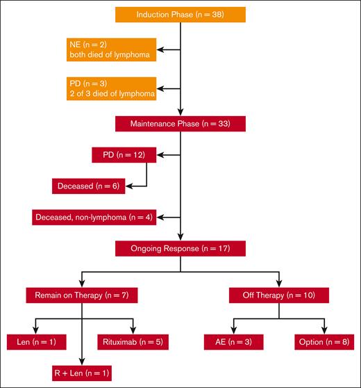 CONSORT diagram of patient treatment and disposition. The induction treatment consisted of lenalidomide (Len) administered at 20 mg daily on days 1 to 21 of a 28-day cycle for 12 cycles and rituximab (R) weekly for 4 weeks during cycle 1 and then every other cycle. Of the 38 patients enrolled, 33 completed induction and entered maintenance, whereas Len was reduced to 15 mg, and R was continued every other cycle. Treatment was continuous until disease progression, unacceptable toxicity, or study withdrawal, with an option to stop therapy after 3 years. AE, adverse event; NE, not evaluable; PD, progressive disease.