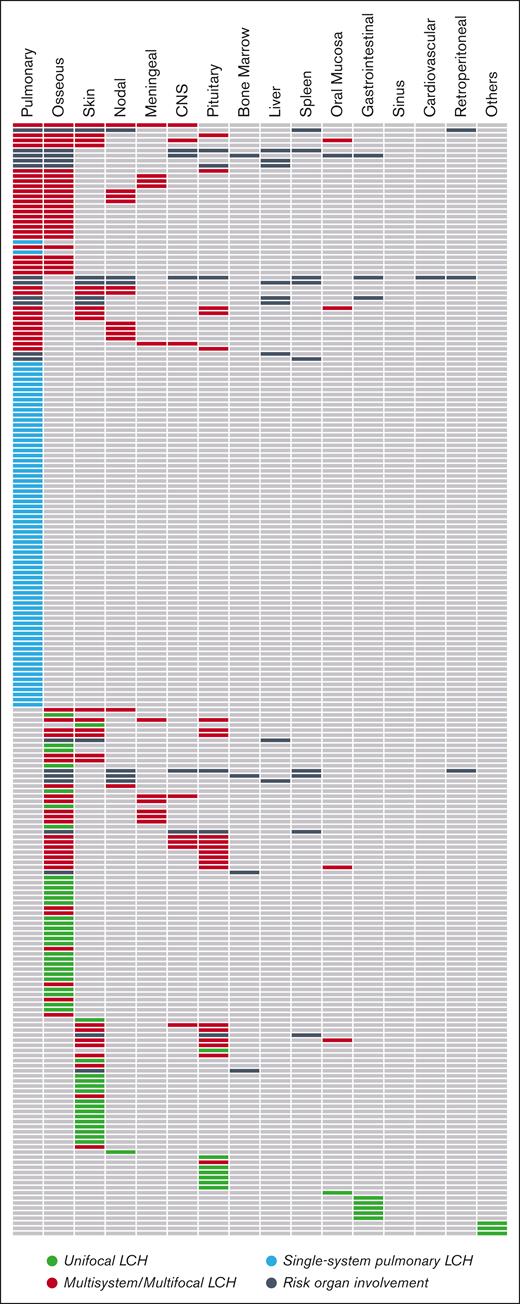Patterns of organ involvement among adults with LCH. Each row represents 1 unique patient. CNS, central nervous system.