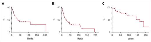 Time to next treatment and survival analysis. (A) TTNT calculated on each treatment received (it includes also patients who received rituximab more than once). (B) Progression-free survival determined on 33 patients from the initiation of the (first) treatment with rituximab to the date of progression, death, or last follow-up. (C) Overall survival determined on 33 patients from the initiation of the (first) treatment with rituximab to the date of death or last follow-up.