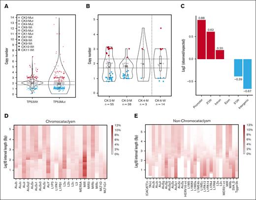CN distribution and enrichment of breakends in the genome. (A) Violin plots of CN distribution in the final CNV data set of the TP53 mutated (n = 6) and TP53 wildtype (n = 5) cases. Each dot represents 1 fragment (distinct region on a genome of reference) and its respective CN. (B) Genomic fragments of <20 kb in size of the 4 cases with the highest complexity (total number of CN changes). The cases are ordered by rearrangement complexity. Blue: CN loss (CN < 1.7); red: CN gain (CN > 2.3). (C) Breakend enrichment analysis showed increased observed/expected ratio of breakends in gene promoters, 3’UTRs and introns; the opposite is observed for intergenic and 5’UTR regions. (D-E) Heatmap of the occurrence of BND in chromocataclysm cases (D) and chromothripsis cases without chromocataclysm (E) in the proximity of repetitive elements (repeat subcategories from RepeatMasker). The normalized relative occurrence was calculated for different intervals from the BNDs.