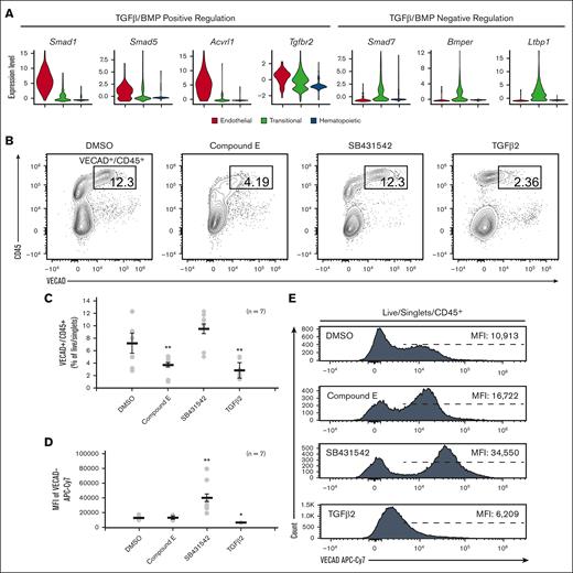 Fetal lung EHT is functionally reliant on canonical developmental pathways. (A) Violin plots of expression of TGFβ/BMP pathways genes. (B) Representative flow cytometry plots demonstrating the change in CD45+/VECAD+ progenitors after treatment with the Notch inhibitor compound E, the TGFβ inhibitor SB431542, and recombinant TGFβ2. (C) Counts of CD45+/VECAD+ progenitors after treatment. (D) Average MFI of VECAD expression after treatment. (E) Representative histograms of VECAD expression after treatment. Error bars represent standard deviation. ∗∗P < .01 compared with DMSO control. Each n represents a biological replicate with a minimum of 3 technical replicates per experiment.