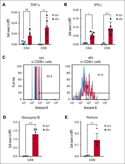 Production of cytotoxic proteins and cytokines was increased in kidney-infiltrating donor T cells of allo-HCT recipients. BALB/c (H-2d) animals were lethally irradiated and received transplantation with CD90.2+ splenic T cells together with BM cells from either syn BALB/c or allo MHC-mismatched B6 (H-2b) donors. On day 14 after HCT, kidneys were harvested, and disrupted, and incubated for 5 hours with phorbol 12-myristate 13-acetate, ionomycin, brefeldin A, and monensin, followed by intracellular staining. (A-B) Donor TNF-α– (A) and IFN-γ–producing (B) T cells in the kidney at day 14 after allo-HCT are shown. (C-E) Donor granzyme B– (C-D) and perforin–producing (E) CD8+ T cells in the kidney on day 14 after allo-HCT are shown. Representative flow cytometry images of granzyme B (C) are shown. Blue histograms indicate isotype control. Production of granzyme B (D) and perforin (E) by renal-infiltrating cytotoxic T cells was significantly increased in allogeneic recipients; n = 3 to 5 mice per group. Data are representative of 3 experiments. The bars show the mean ± SEM. Student t test was used for statistical analysis; ∗P < .05; ∗∗P < .01; ∗∗∗P < .001.