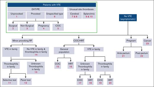 Overview of guideline questions. Minor provoking risk factors: circumstances that generally do not require prophylaxis, such as immobility or minor injury, illness, or infection. RF, risk factor.