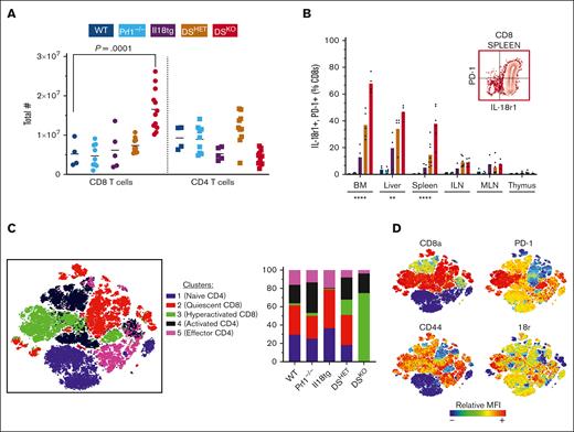 DuDS mice have more activated CD8 T cells with a distinct immunological profile. (A) Total number of splenic CD8 and CD4 T cells. (B) Percentage of CD8 T cells homeostatically expressing activation markers IL-18r1 and PD-1 in various organs. Graph shows combined data from >3 experiments; each data point represents a mouse. P value based on one-way ANOVA with Tukey post hoc test of comparisons between Il18tg to DSKO. ∗∗∗∗P < .0001; ∗∗P < .001; ∗P < .05. (C) Unbiased K means clustering t-distributed stochastic neighbor embedding projection of splenic T cells (7649 cells per mouse) from 3 mice of each genotype with representation of each cluster within each genotype. (D) Heat map of relative geometric mean fluorescent intensity (MFI) of selected markers. ILN, inguinal lmph node; MLN, mesenteric lymph node; WT, wild-type.