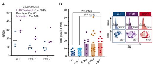 IL-18 and perforin deficiency alter CD8 T-cell RICD and proliferation. (A) RICD in CD8 T cells in the presence (purple) or absence (blue) of 50 ng/uL IL-18 after a 24-hour restimulation with CD3/CD28. Each data point represents the average of technical triplicates within 1 experiment. P values are determined using two-way ANOVA. (B) Percent and representative graphs of in vivo EdU incorporation in CD8 T cells 19h after systemic administration. Data from >3 separate experiments; each data point represents a single mouse. P values calculated by one-way ANOVA with Tukey multiple comparisons test, evaluating all comparisons with DSKO group. Only adjusted P < .05 is shown.