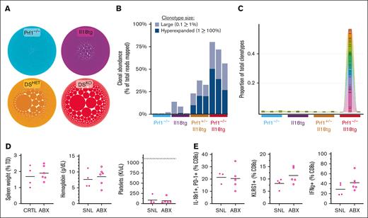 IL-18 and perforin deficiency drive oligoclonal CD8 T-cell hyperexpansion unaffected by broad-spectrum antibiotic treatment. (A) A bubble plot represents the proportion of mapped TCRs attributable to individual clonotypes within Prf1⁻/⁻, Il18tg, DSHET, and DSKO mice. (B) Sums of the proportion of mapped TCRs attributable to clonotypes that individually occupy a large (0.1% to 1%) or hyperexpanded (1% to 100%) proportion of all mapped TCRs. (C) Representative plot showing that the top 50 hyperexpanded clonotypes in a single DSKO mouse account for ∼50% of all mapped TCRs in that mouse, but the same clonotypes account for a negligible proportion of all mapped TCRs in all other sequenced mice. (D) Splenomegaly, anemia, and thrombocytopenia in DSKO mice after >30 days of antibiotic treatment with metronidazole, neomycin, ampicillin, and vancomycin. The dotted line represents the average platelet count for WT mice. (E) CD8 T-cell activation and ex vivo stimulated IFN-γ production in DSKO mice after treatment. All graphs are combined from 2 experiments; each point represents an individual mouse.