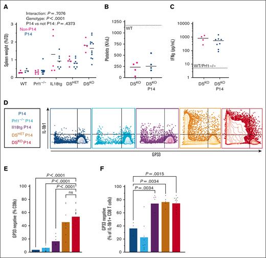 DS mice bearing the P14 transgene succumb to hyperinflammation but develop breakthrough GP33TET-negative CD8 T-cell activation. (A-C) Splenomegaly, thrombocytopenia, and systemic IFN-γ in DSKO, DSKO-P14, and control mice. (D) Representative flow cytometry plots of splenic CD8 T cells. (E) Proportion of splenic CD8 T cells that bind GP33TET. (F) Proportion of the activated (IL-18R1+) CD8 T-cell pool occupied by GP33TET-negative cells. Graphs show combined data from 3+ experiments, each point represents an individual mouse. P values determined by two-way ANOVA (A) or one-way ANOVA with Tukey multiple comparisons test of pairwise comparisons against WT-P14 group.62