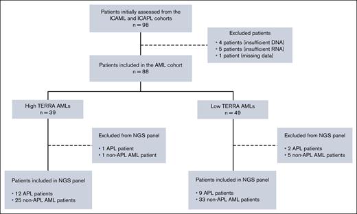 In this study, 98 patients were screened, but 10 were initially excluded. The patients were classified into 2 groups based on TERRA expression. Two patients from the high TERRA AMLs and 7 from the low TERRA AMLs were excluded from the NGS panel. AML cohort diagram.