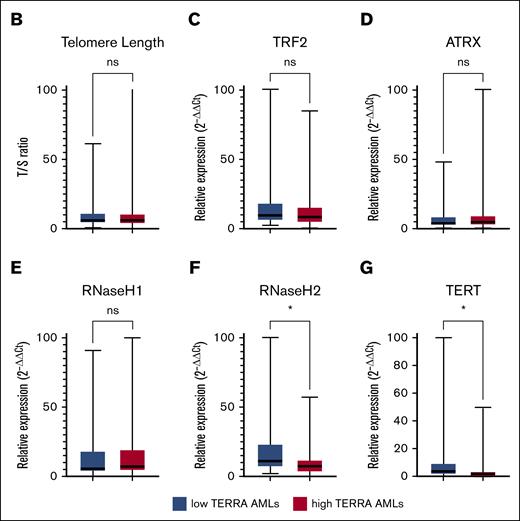 Patients with AML can be categorized in 2 groups based on TERRA expression. (A) Unsupervised hierarchical clusterization of AML samples. Both rows and columns are clustered using Euclidean distance. Two groups were formed, high-TERRA expression AMLs and low-TERRA expression AMLs. (B) Box plot of telomere length T/S ratio. (C) Box plot of TRF2 expression. (D) Box plot of ATRX expression. (E) Box plot of RNaseH1. (F) Box plot of RNaseH2. (G) Box plot of TERT expression. ∗P < .05. ns, nonsignificant.