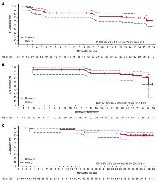 Kaplan-Meier analyses. (A) PFS, (B) DOR, and (C) OS (efficacy analysis set). NR, not reached.