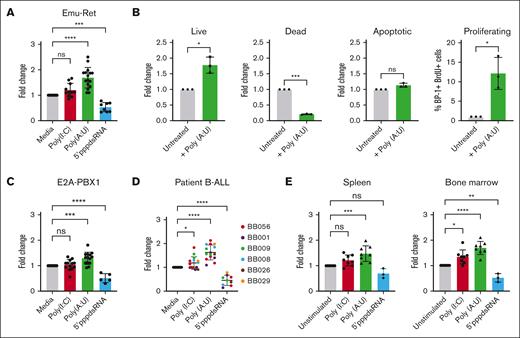 Distinct dsRNA moieties induce differential responses in both murine and human B-ALL cells and LICs in vitro. (A) B-ALL cells from Eμ-Ret mice were stimulated with the indicated ligands or left unstimulated and viable cells number measured after 48 hours. Results are pooled from at least 5 individual experiments. (B) Cultures of leukemia cells isolated from Eμ-Ret mice were assessed for live (annexin-negative and 7AAD-negative), dead (annexin-positive and 7AAD-positive), apoptotic (annexin-positive and 7AAD-negative), and proliferating (BrdU+) cell characteristics after 48 hours in the presence or absence of Poly(A:U). Results are pooled from 3 individual experiments. (C) E2A-PBX1, (D) patient-derived B-ALL leukemic blasts, and (E) purified LICs from the spleen and BM of 2- to 8-week-old Eμ-Ret mice were exposed to Poly(A:U), Poly(I:C), or 5′ppp-dsRNA for 48 hours, and the number of viable cells was measured. Results are pooled from at least 5 individual experiments. Individual patient samples are color-coded in panel D. In all experiments, cell counts were quantified using CountBright beads. Dunnett multiple comparison test; bars represent mean ± standard deviation (SD); ∗P < .05; ∗∗P < .01; ∗∗∗P < .001; ∗∗∗∗P < .0001; ns, not significant.
