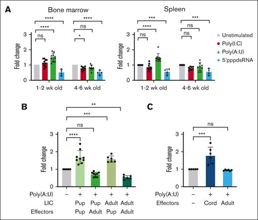 The age of immune effectors determines the outcome of TLR3 engagement. (A) Bulk splenocytes and BM cells from healthy Eμ-Ret mice of varying ages were exposed to indicated ligands and viable LIC recovery measured after 48 hours. Results are pooled from at least 4 individual experiments and analyzed using Dunnett multiple comparison test. (B) Purified LIC from neonatal and adult Eμ-Ret mice were incubated alone or with splenocytes from 2-wk-old (neonate) or 4-wk-old (adult) BALB/c mice. Cultures were treated with Poly(A:U), and viable cell recovery was measured after 48 hours and compared with that of unstimulated controls. Results are pooled from at least 3 individual experiments and analyzed using Dunnett multiple comparison test. (C) Four human B-ALL samples were incubated with cord or adult PBMCs. Cultures were treated with or without Poly(A:U), and viable cell recovery was measured using CountBright beads after 48 hours and analyzed using unpaired t test. For all graphs, bars represent mean ± SD; ∗P < .05; ∗∗P < .01; ∗∗∗P < .001; ∗∗∗∗P < .0001; ns. wk, week.