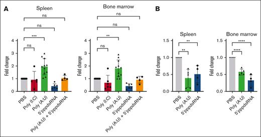 Poly(A:U)-induced LIC expansion in vivo is an age-dependent outcome. (A) 6-day-old Eμ-Ret pups were injected with indicated PRR ligands, and LIC burden was evaluated 7 days later and analyzed using Dunnett multiple comparison test. (B) 4- to 6-week-old Eμ-Ret mice were treated with either phosphate-buffered saline (PBS) or Poly(A:U), and LIC burden after 7 days was evaluated. (n = 5 for PBS and n = 5 for Poly(A:U)). In all experiments, cell counts were quantified using CountBright beads. Unpaired t test; bars represent mean ± SD; ∗∗P < .01; ∗∗∗P < .001; ∗∗∗∗P < .0001; ns.