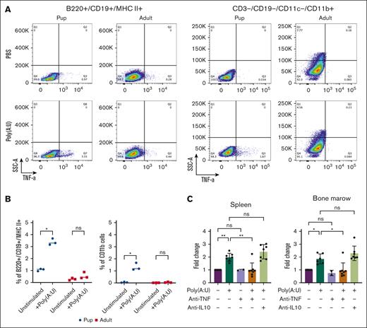 TNF-α is necessary for LIC expansion in neonates. Representative flow cytometry plots (A) and cumulative results (B) from independent experiments showing TNF-α production by neonatal and adult B220+/CD19+/MHC CII+ lymphoid cells (left) and B220–/CD11c–/CD11b+ myeloid cells (right); paired t test. (C) In vivo impact of cytokine (TNF-α or IL-10) neutralization on LIC numbers in 6-day-old Eμ-Ret pups injected with Poly(A:U). Cell counts in harvested organs were quantified using CountBright beads. (Dunnett multiple comparison test; bars represent mean ± SD). Pooled results are from at least 3 individual experiments. ∗P < .05; ∗∗P < .01, ns.