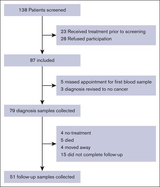 Flow diagram detailing inclusion and follow-up inpatients with hematological cancer.