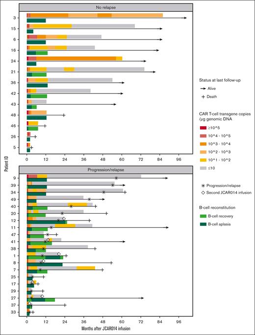 Duration of CAR transgene persistence and B-cell aplasia in the peripheral blood relative to clinical events. Data are from 33 patients with CR, CRi, and PR by 2018 iwCLL criteria on day +28.