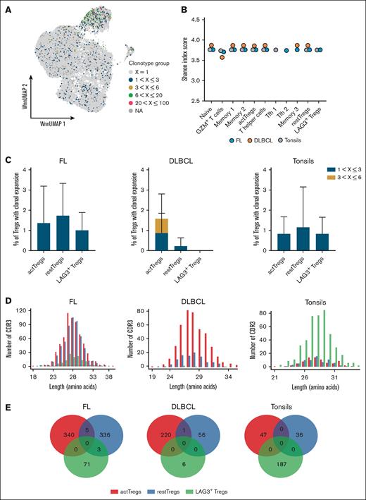 Characterization of TCR diversity and clonotype expansion by scVDJ-seq. (A) Clonal expansion mapped onto the UMAP from Figure 1B. (B) Shannon diversity index estimated from TCR sequencing results for 45 random cells per cluster. Values are shown for each cluster identified in Figure 1B. (C) Histograms showing the percentages of Treg subsets with expanded clonotypes within the entire Treg compartment and across samples of tonsils (n = 3), FL (n = 3), and DLBCL (n = 3). Expanded clonotypes were categorized as small expansion (1 < X ≤ 3) and medium expansion (3 < X ≤ 6). (D) Distribution of CDR3 length for each Treg cluster as per the tissue origin. The mean CDR3 lengths for activated Tregs (actTregs), resting Tregs (restTregs), and LAG3+ Tregs were 28.1 amino acids (aas), 28.3 aas, and 27.9 aas, respectively in FL; 28.0 aas, 27.7 aas, and 28.3 aas in DLBCL; and 28.3 aas, 28.0 aas, and 28.1 aas in tonsils. (E) Venn diagrams showing the number of clonotypes within and shared between Treg subsets. For scaling purposes, numbers are shown for the Tregs found among 1000 random CD4+ T cells with gene expression and single TCRα/TCRβ gene.