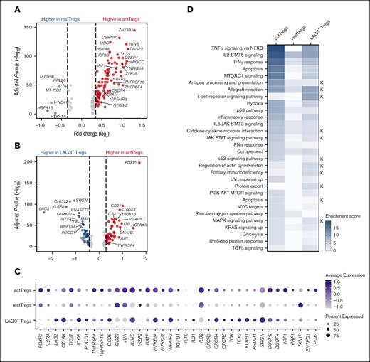 Characterization of Treg subsets by scRNA-seq. Volcano plots based on the scRNA-seq data from healthy donor tonsils (n = 3), FL (n = 3), and DLBCL (n = 3), showing key significantly DEGs between (A) activated and resting Tregs and (B) activated and LAG3+ Tregs. Each dot indicates 1 gene; red dots represent a log2 fold change (log2FC) of >0.35, and blue dots depict a log2FC < −0.35. Significant genes were selected with adjusted P value < .05. Full list of DEGs is shown in supplemental Tables 6 and 7. (C) Dot plot of selected genes from scRNA-seq data, showing average gene expression of checkpoint receptors, transcription factors, cytokines, and DEGs across the 3 distinct cellular subsets of Tregs. (D) Heat map of gene set enrichment analysis (GSEA) highlighting highly enriched pathways among the 3 Treg clusters based of Hallmark and KEGG (K) libraries, shown as enrichment score.