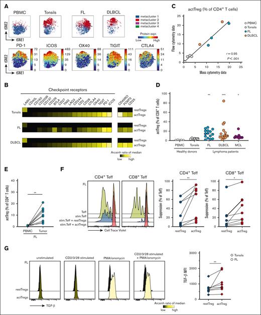 Intratumoral Tregs are phenotypically and functionally heterogeneous. (A) The expression of 18 checkpoint receptors on CD4+FOXP3+CD25+CD127− Tregs from healthy donor PBMCs (n = 3) and tonsils (n = 3), FL (n = 3), and DLBCL (n = 2) were assessed by t-distributed stochastic neighbor embedding (tSNE) analysis and FlowSOM clustering of mass cytometry data (supplemental Table 1). (Top) Population analysis of Tregs colored based on FlowSOM metaclusters. (Bottom) Density plots of checkpoint receptor protein expression on concatenated Tregs. (B) Heat map of checkpoint receptor expression in activated Tregs (metacluster 2) and resting Tregs (metacluster 1) from the same samples as in panel A. The heat map shows arcsinh ratio of median fluorescence intensity (MFI) normalized to column minimum. (C) Spearman correlation of Treg subset distribution assessed by flow cytometry (5-marker tSNE) with the distribution assessed by mass cytometry (18-marker tSNE). (D) Frequency of activated Tregs among CD4+ T cells assessed by flow cytometry in PBMCs (n = 5) and tonsils (n = 7) from healthy donors, and in FL (n = 15), DLBCL (n = 16), and MCL (n = 10). Horizontal line represents median frequency. (E) Frequency of the activated Treg subset among CD4+ T cells in paired samples, PBMCs, and LNs, from patients with FL (n = 9). (F) Representative flow cytometry histogram of CellTrace Violet dilution in effector CD4+ or CD8+ T cells when stimulated with T-cell-expansion beads (stim. Teff) and cocultured in presence of either actTregs or restTregs purified from an FL sample (left), or calculated as percent suppression of stim. Teff proliferation when cocultured in the presence vs absence of Tregs, (n = 9). (G) (Left) A representative experiment showing TGF-β expression for activated and resting Tregs in the presence or absence of different stimuli. (Right) Summary of TGF-β median fluorescence intensity for unstimulated, activated, and resting Tregs from FL (n = 4) and tonsillar (n = 5) samples. Statistical differences were calculated using Kruskal-Wallis with Dunn multiple comparison test for panel D and Wilcoxon for panels E-G. ∗P < .05; ∗∗P < .01; ∗∗∗P < .001.