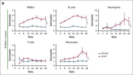 Bidirectional repopulation assays of RunxR188Q/+ hematopoietic cells. (A-B) Analysis of contribution of WT donor cells (CD45.1) to peripheral blood (A) and BM (B) after 24 weeks, into WT (orange) or RunxR188Q/+ (green) recipient mice (CD45.2), using bidirectional noncompetitive repopulation assays. (C-D) Time-course analysis of donor cell contribution (test/competitor: WT/WT in blue, Runx1R188Q/+ /WT in red) to peripheral blood in wt (C) and Runx1R188Q/+ (D) recipient mice, in bidirectional competitive repopulation assay (BCRA). ∗P < .05, ∗∗P < .005; ns, not significant.