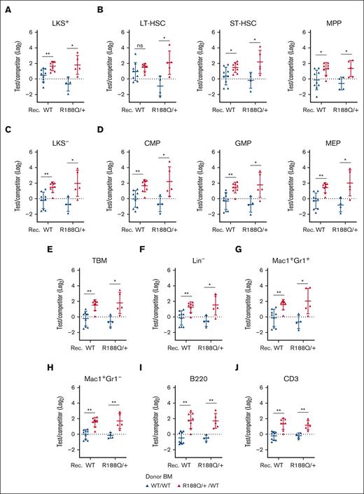 Runx1R188Q/+ BM hematopoietic progenitor cells outcompete WT cells in BCRAs. (A-D) Contribution of donor (test/competitor: WT/WT in blue, Runx1R188Q/+ /WT in red) HSPCs, including LKS+ (A), LT-, ST-HSCs and MPPs (B), LKS- (C), and committed progenitor cells (CMPs, GMPs, and megakaryocytic-erythroid progenitors (MEPs), D). (E) estimation of total BM cells. (F-J) Contribution of donor (test/competitor) cells to committed progenitor cells in BM, including lineage-negative (Lin−) cells (F), neutrophil- (G) and monocyte-progenitors (H), B cells (I) and T cells (J). ∗P < .05, ∗∗P < .005.
