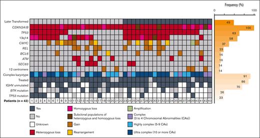 Genetic profiles of patients with CLL with CDKN2A/B deletion. Bone marrow or peripheral blood analysis at the time of the first CDKN2A/B deletion detection using FISH. Fine and Gray model for RT (n = 20) or prolymphocytic leukemia (n = 1). IGHV, immunoglobulin heavy-chain variable region.