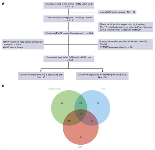 Study overview. (A) Study flowchart. (B) Venn diagram representing the different subcohorts of the study (histology set: n = 194; NGS set: n = 128; and GEP set: n = 120).