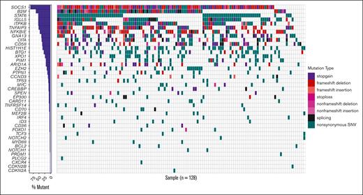 Heat map representing the mutational landscape of the PMBL cohort. SNV, single nucleotide variant.