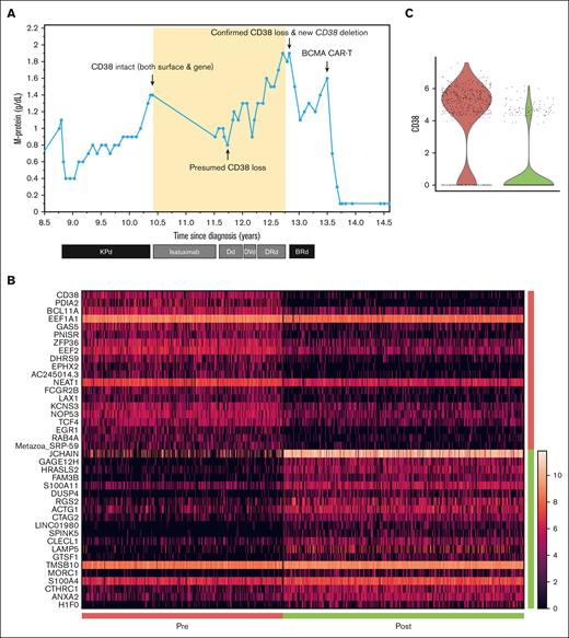 Illustrative case of an acquired CD38 deletion. (A) M-protein quantification is shown over time. The yellow area denotes the treatment period with CD38-targeted agents. After treatment with isatuximab and daratumumab, (B) single-cell RNA-sequencing data and (C) respective violin plots demonstrate reduced CD38 expression. BCMA, B-cell maturation antigen; BRd, bendamustine, bortezomib, and dexamethasone; CAR-T, chimeric antigen receptor T cells; Dd, daratumumab and dexamethasone; DRd, daratumumab, lenalidomide, and dexamethasone; DVd, daratumumab, bortezomib, and dexamethasone; KPd, carfilzomib, pomalidomide, and dexamethasone.