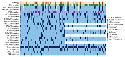 Individual patient tumor characteristics. COO, cell of origin; GCB, Germinal center B.