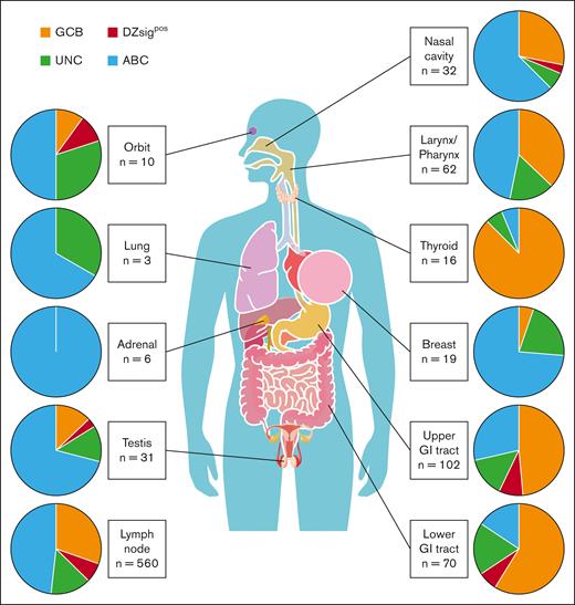 Distribution of molecular subtypes according to biopsy sites. Pie charts represent the frequency of molecular subtypes in each biopsy site.