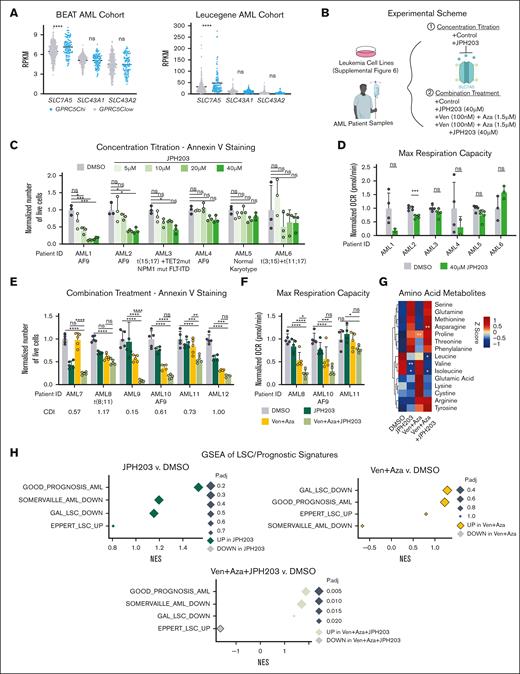 JPH203 combined with Ven + Aza increased antileukemia efficacy in AML. (A) Dot plot showing reads per kilobase of transcript per million mapped reads of SLC7A5, SLC43A1, and SLC43A2 stratified based on GPRC5Chi(GPRC5C high: ≥75th percentile) and GPRC5Clow (GPRC5C low: <75th percentile), expression from the BEAT AML and the Leucegene AML cohorts. (B) Experimental scheme to assess treatment with JPH203 + Ven + Aza in leukemia cell lines and BM samples from patients with de novo AML. (C) Absolute number of live cells, as determined by annexin V staining in specimens of patients with AML treated with JPH203 for 24 hours. Normalized to the DMSO control of each AML specimen; n = 3 technical replicates per AML specimen. (D) Maximum respiration measured by the seahorse assay of patient cells with AML treated with JPH203 for 12 hours. Normalized to the DMSO control of each AML specimen; n = 2 to 5 technical replicates per AML specimen. (E) Absolute cell count of live cells as determined by annexin V staining in patient specimens with AML treated with Ven + Aza + JPH203 and measured at 24 hours. Normalized to the DMSO control of each AML specimen. CDI was calculated for each AML specimen. CDI value < 1 (synergistic), CDI = 1 (additive), and CDI > 1 (antagonistic); n = 3 to 5 technical replicates per AML specimen. (F) Oxygen consumption levels measured by the seahorse assay of specimens of patients with AML treated with Ven + Aza + JPH203 for 12 hours. Normalized to the DMSO control of each AML specimen; n = 5 technical replicate per AML specimen. (G) Heat map of amino acids metabolites. Z-score centering of the mean value of metabolite abundance per specimen from patients with AML; n = 3 specimens from patients with AML. (H) GSEA of LSC/prognostic signatures under treatment conditions compared with the DMSO control. GSEA was performed with BH-adjusted P values after the adaptive multilevel splitting Monte Carlo approach. GAL_LSC_DOWN,46 GOOD_PROGNOSIS_AML,47 EPPERT_LSC_UP,48 and SOMERVAILLE_AML_DOWN.49 All represented by mean ± standard deviation. (A,G) Unpaired Student t test; (C-F) 2-way analysis of variance. ∗P < .05; ∗∗P < .01; ∗∗∗P < .001; ∗∗∗∗P < .0001. For all experiments, at least 2 independent experiments were performed.