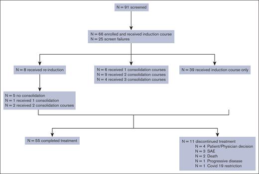 CONSORT diagram. SAE, serious adverse event.
