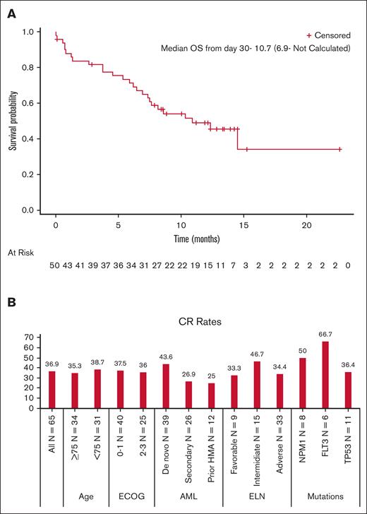 Efficacy results. (A) OS for all patients using landmark analysis. Efficacy results: OS for all patients using a landmark analysis. (B) Efficacy results: CR rates according to subgroups. CR rates based on subgroups.ECOG, Eastern Cooperative Oncology Group; ELN, European LeukemiaNet.