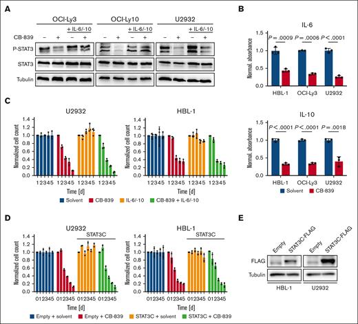CB-839 reduces IL-6/IL-10 secretion and impairs STAT3 activation. (A) ABC DLBCL cell lines were treated with solvent, 500 nM CB-839 and/or 5 ng/mL recombinant human IL-6 and IL-10, as indicated, and the phosphorylation of STAT3 was assessed by immunoblot analysis. Tubulin served as loading control. (B) ABC DLBCL cell lines were treated with solvent or 500 nM CB-839 for 48 hours. Secreted IL-6 and IL-10 were quantified by ELISA and normalized to the solvent control. (C) The ABC DLBCL cell lines HBL-1 and U2932 were treated with solvent, 500 nM CB-839 and/or 5 ng/mL recombinant human IL-6 and IL-10, as indicated. Cell numbers were determined daily and normalized to the solvent control. (D-E) HBL-1 and U2932 cells expressing an inducible control vector or the hyperactive mutant STAT3C-FLAG were treated with 1 μg/mL doxycycline to induce cDNA expression for 24 hours. Cells were then treated with solvent or 500 nM CB-839. Cell numbers were quantified at the indicated times and normalized to the respective solvent controls. Error bars correspond to the mean ± SD. Data are representative of 3 for panels B-C or 2 for panels A,D-E independent experiments. Statistical significance was calculated using the Student t test (unpaired, 2-tailed) to compare the solvent with the CB-839–treated samples. cDNA, complementary DNA.