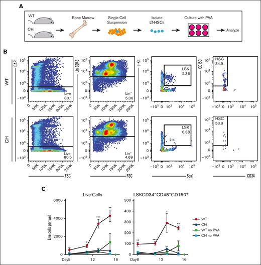 Gata2 germline variation prevents polyvinyl alcohol-supported HSPC expansion ex vivo. (A) Schematic for isolation and culture of LT-HSCs in defined medium.34 (B) Representative flow cytometric plots for FACS-isolation of LT-HSCs (LSK CD150+ CD48− CD34–). (C) Flow cytometric quantification of total live cells and LT-HSCs (LSK CD150+ CD48− CD34–) per well. N = 3 replicates per condition, average of 3 experiments. ∗P < .05, ∗∗P < .01, ∗∗∗P < .001; 1-way ANOVA followed by Tukey multiple comparisons test. DAPI, 4′,6-diamidino-2-phenylindole.