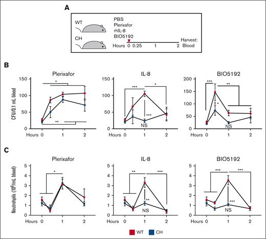Gata2 germline variation selectively attenuates acute HSPC mobilization. (A) Mice were treated with 5 mg/kg plerixafor (CXCR4 antagonist), 1 mg/kg rhIL-8 (CXCR2 agonist), or 1 mg/kg BIO5192 (VLA-4 antagonist) and harvested after 0.25, 1, or 2 hours. (B) CFU from 0.1 mL of peripheral blood. (C) Peripheral blood neutrophil quantification. N = 3 to 12 per condition, 9 experiments. ∗P < .05, ∗∗P < .01, ∗∗∗P < .001; 1-way ANOVA followed by Tukey multiple comparisons test. PBS, phosphate-buffered saline.