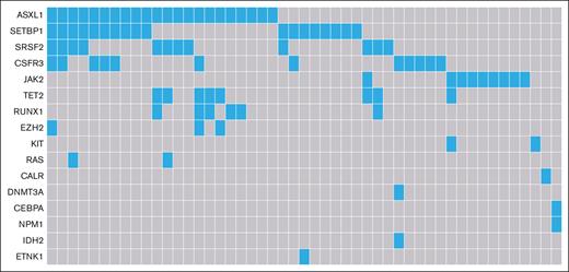 Mutational landscape of patients with MDS/MPN with neutrophilia in the Netherlands, from 2014 to 2019. Of the 101 patients with data available of their molecular profile, 49 patients had aberrations (22 with 1 single mutation, 11 with 2 mutations and 16 with ≥3 mutations).
