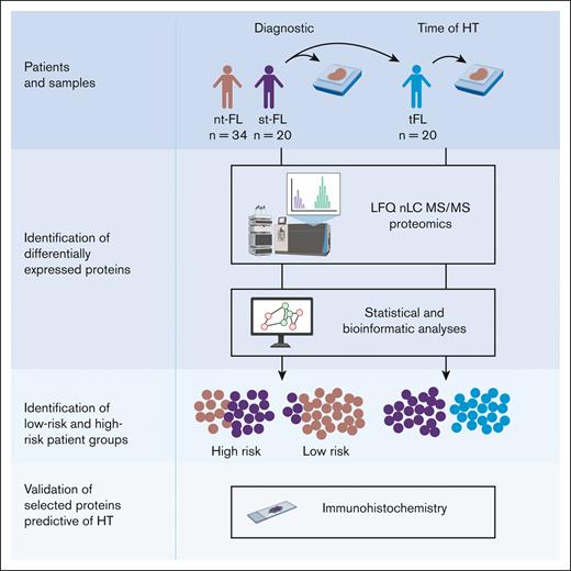 Study workflow diagnostic samples from nt-FL and st-FL samples were analyzed by large-scale MS-based proteomics to investigate protein expression differences between the 2 patient groups. In addition, for the transforming FL group, a paired high-grade sample from the time of HT was also analyzed. Subsequent statistical and bioinformatic analyses were performed to identify risk groups based on the respective protein expression profiles. Lastly, selected proteins were evaluated using targeted immunohistochemistry. LFQ, label-free quantification. Created with BioRender.com.