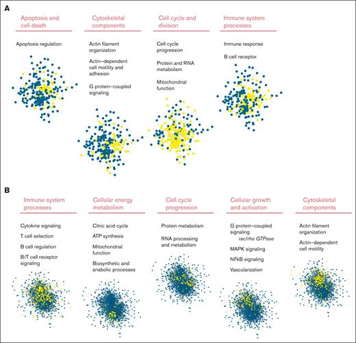 STRING analysis of significantly differentially expressed proteins comparing st-FL and nt-FL samples as well as st-FL and tFL samples. Different significantly disturbed cellular pathways identified in the STRING analysis based on (A) input of 242 proteins significantly differentially expressed at P < .05 comparing nt-FL and st-FL samples. The groups contain proteins belonging to apoptotic signaling, the cytoskeleton, cell cycle signaling, and the immune system. (B) Input of the 800 proteins significantly differentially expressed at P < .05 comparing tFL and st-FL samples. The groups contain proteins belonging to the immune system, energy metabolism, cell cycle, cellular growth and activation, and the cytoskeleton. Nodes represent proteins and edges visualize interactions. The different cellular pathways visualized were significantly disturbed in the STRING analysis. Yellow indicates proteins involved in said pathway; blue, protein not involved in the pathway. ATP, adenosine triphosphate; GTPase, guanosine triphosphatase.