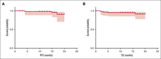 Survival of patients with NDMM with RI receiving PVD regimen. (A) PFS in all 61 patients who received PVD therapy. (B) OS in all 61 patients who received PVD therapy. PFS, progression-free survival.