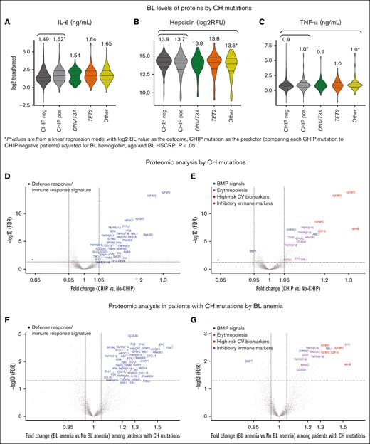 Proteomic signatures associated with inflammation and immune response are enriched in patients with CH mutation vs without CH mutations and increased more in patients with concurrent CH mutations and anemia. Baseline proteomic profile from SomaScan and individual cytokines ELISA characterized biological changes mediated by CH mutations and anemia. (A-C) Baseline levels of IL-6 (A), hepcidin (B), and TNF-α (C) in patients with and without CH mutations, showing mean values at the top of each plot. (D-E) Volcano plots of multiplexed proteomic data comparing patients with CH mutations vs without CH mutations. Highlighted are (D) proteins associated with immune response and defense response to inflammation and infection (GO terms in defense response, response to bacterium and regulation of immune system), and (E) high-risk CV biomarkers (red), inhibitory immune molecules (purple), BMP-signaling ligands (blue; antagonists and agonist, BMP1), and proteins associated with erythropoiesis (pink) among significant proteins. (F-G) Volcano plots of multiplexed proteomic data in patients with CH mutations comparing patients with baseline anemia (CCUS) vs without baseline anemia (CHIP). Highlighted are (F) proteins associated with immune response and defense response to inflammation and infection, and (G) high-risk CV biomarkers (red), inhibitory immune molecules (purple), BMP-signaling ligands (blue; antagonists and agonist, BMP1), and proteins associated with erythropoiesis (pink) among significant proteins. FDR, false discovery rate; RFU, relative fluorescence unit.