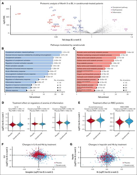 Canakinumab suppresses IL-1β, IL-6, and hepcidin levels and inhibits activation of immune response, complement pathways, and myeloid differentiation. Pre- and post-treatment proteomic data from SomaScan and individual cytokine ELISA revealed key pathways that are modulated by canakinumab. (A) Volcano plot of multiplexed proteomic data in post-canakinumab patients at month 3 compared with baseline. Highlighted are significant proteins from the complement pathway (blue), erythropoiesis pathway (orange), and inflammatory pathways (pink) among those with FDR < 0.05. (B-C) Top 15 GO terms enriched in proteins downregulated (B) and upregulated (C) after canakinumab treatment showing FDR and fold enrichment. (D) Canakinumab suppresses key regulators of AI, including IL-1β, IL-6, and hepcidin. (E) Canakinumab increases RBC numbers, as evidenced by upregulated proteins in RBCs, including AChE and hemoglobin (HBA1 and HBB). (F) Changes in IL-6 and hemoglobin levels between baseline and month 3. Patients treated with canakinumab (blue) have 3.46 times higher odds of having both an increase in hemoglobin and a decrease in IL-6 than patients treated with placebo (red). (G) Changes in hepcidin and hemoglobin levels between baseline and month 3. The odds of having both an increase in hemoglobin and a decrease in hepcidin were 1.88 times higher in patients treated with canakinumab (light blue) compared with placebo (red). AChE, acetylcholinesterase; C1RL, complement component 1, r subcomponent-like; C1S, complement component 1, s subcomponent; C3, complement component 3; C4BPA, complement component 4 binding protein alpha; C9, complement component 9; CFB, complement factor B; CRIPSLD2, cysteine-rich secretory protein LCCL domain containing 2; CST7, cystatin F; FC, fold change; FCN1, ficolin 1; FTH1, ferritin; HAMP, hepcidin; HBA1, hemoglobin alpha; HBB, hemoglobin beta; HP, haptoglobin; HPX, hemopexin; MBL2, mannose-binding; lectin 2; PRTN3, proteinase 3.