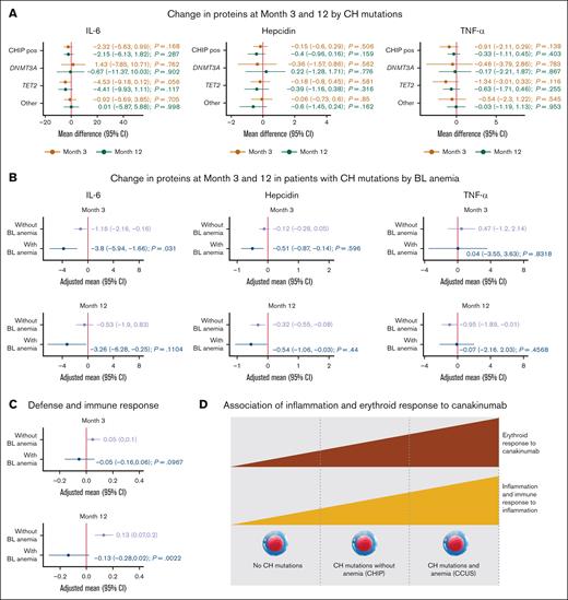 The concurrent CH mutations and anemia enhance the suppression of inflammatory pathways mediated by canakinumab. Pre- and post-treatment proteomic data from SomaScan and individual cytokine ELISA discovered more substantial suppression of inflammatory pathways by canakinumab in patients with CH mutations and anemia (CCUS) than patients with only CH mutations (CHIP). (A) Forest plot of mean differences in change of IL-6 (left), hepcidin (middle), and TNF-α (right) levels at months 3 and 12 in patients with CH mutations compared to those in patients without CH mutations, adjusted for baseline hemoglobin, hsCRP, and age. (B) Forest plot of mean differences in change of IL-6, hepcidin, and TNF-α levels at months 3 (top) and 12 (bottom) in patients with baseline anemia, compared to those in patients without baseline anemia among patients with CH mutations, adjusted for baseline hemoglobin, hsCRP, and age. (C) Changes of pathway enrichment scores associated with defense and immune response from baseline to months 3 (top) and 12 (bottom) of canakinumab treatment in patients stratified based on the presence of baseline anemia among patients with CH mutations, adjusted for baseline hemoglobin, hsCRP, and age. (D) Association of inflammation and erythroid response to canakinumab in patients with only CH mutations (CHIP) and concurrent CH mutations and anemia (CCUS). More elevated levels of inflammation and higher response to canakinumab were observed in patients with CCUS than in those with CHIP or no CH mutations.