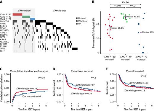 Characteristics and outcomes according to IDH mutation status at diagnosis. (A) Comutations in patients with IDH mutation (ie, IDH1 R132, IDH2 R140, IDH2 R172) and wild-type at diagnosis (n = 125) consolidated by HSCT. (B) BM VAF at diagnosis according to IDH mutation status. (C) CIR, (D) EFS, and (E) OS of HSCT-consolidated patients with AML according to IDH mutation status.