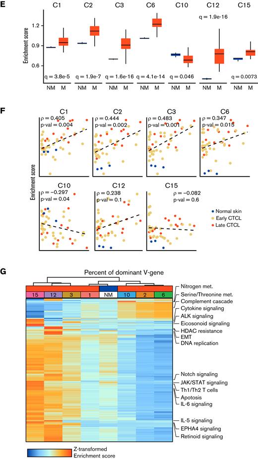 Heterogeneity in both normal and malignant SS T cells. (A) Heatmap of the top 10 genes for each of the single-cell clusters with Bonferroni P value < .05. Bars on the left indicate malignant (red) or nonmalignant (blue) predominance. (B) Density plots of the principal component analysis (PC1 and PC2) of genes involved in T-cell differentiation. (C) Selection of genes by cluster identity for skin-homing, central memory, and Treg phenotypes (IL7R-low/negative associated with Tregs). (D) Percent of cells in each cluster in phases of the cell cycle by regression analysis. (E) ssGSEA enrichment scores for gene signatures derived from the malignant SS clusters applied to a mixed MF/SS bulk RNA cohort.24 (F) The proportion of dominant V read vs ssGSEA enrichment scores for gene signatures derived from the malignant SS clusters applied to a mixed MF/SS bulk RNA cohort.24 (G) Z-score scaled ssGSEA enrichment scores for Biocarta, Kegg, and Hallmark libraries by single-cell cluster. The median values across nonmalignant (NM) clusters are reported in a single column.