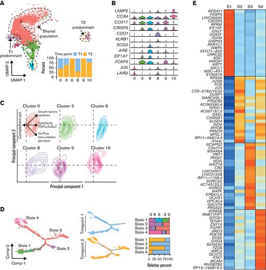 Single-cell analysis of before and after HDACi therapy shows diverging cell populations. (A) UMAP projection of malignant T cells at initial sample collection (T1, n = 2603) and after HDACi progression (T2, n = 2778) with percent of cells in clusters by time point. (B) Violin plots of cluster-specific gene markers compared with the entire cohort of malignant T cells across both time points. (C) Density plots of the principal component analysis of ssGSEA results by malignant T-cell clusters. (D) Trajectory manifold of malignant T cells using the monocle R package with both the Seurat clusters and time point displayed. (E) Median mRNA expression of the top 20 significantly (adjusted P value < .05) upregulated markers by transition state. (F) Venn diagram of the overlap in significant genes between the transcriptional states in the cell trajectory and comparing HDACi-resistant vs -sensitive patients with SS in GSE13205310 with a selection of the 33 overlapping genes displayed as violin plots. Significant genes were defined as log-fold change ≥ 0.5 and adjusted P value < .05. (G) Gene expression patterns of significantly expressed genes by transition state that are previously reported upregulated in an HDACi-resistant SS10 along the cell trajectory manifold.